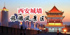 有黄有色大jj小b母狗中国陕西-西安城墙旅游风景区