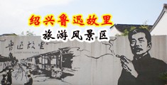 骚逼逼被插的爽啊啊啊视频中国绍兴-鲁迅故里旅游风景区