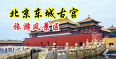 美女抽插穴穴视频中国北京-东城古宫旅游风景区